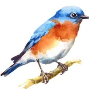 Meet your Posher, Just Ine